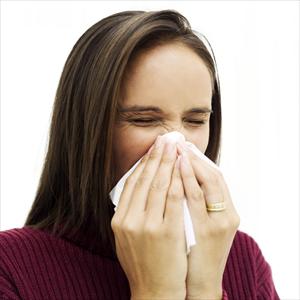 Butterbur Sinus - Sinusitis Updates